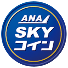 スカイコインってなに?