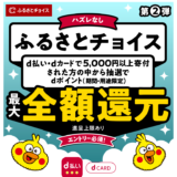 夏のキャンペーン第2弾！ふるさとチョイスでdポイント最大全額ポイント還元
