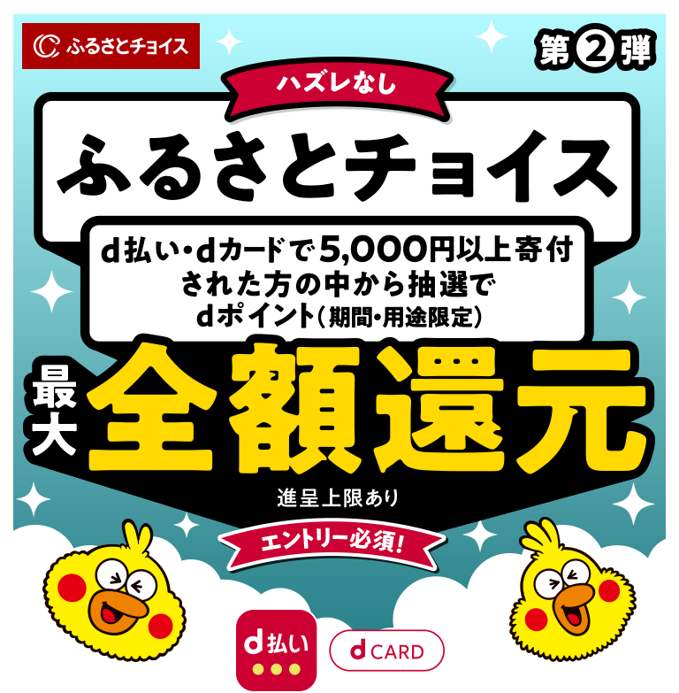 夏のキャンペーン第2弾!ふるさとチョイスでdポイント最大全額ポイント還元