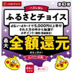 夏のキャンペーン第3弾！ふるさとチョイスでdポイント最大全額ポイント還元