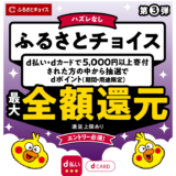 夏のキャンペーン第3弾！ふるさとチョイスでdポイント最大全額ポイント還元