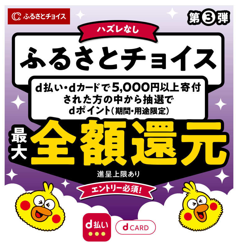 夏のキャンペーン第3弾！ふるさとチョイスでdポイント最大全額ポイント還元