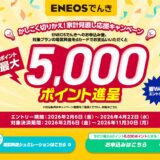 ENEOSでんきでdポイント最大5,000ポイントプレゼントキャンペーン