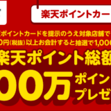 京王ストアで楽天ポイント総額100万ポイントプレゼントキャンペーン