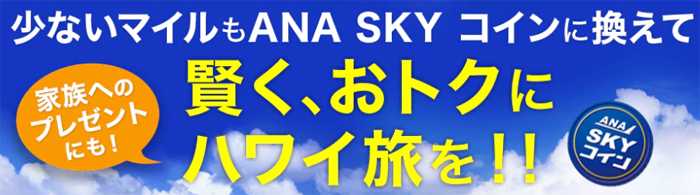 年会費を安く出来る Ana Visaワイドゴールドカードのメリット