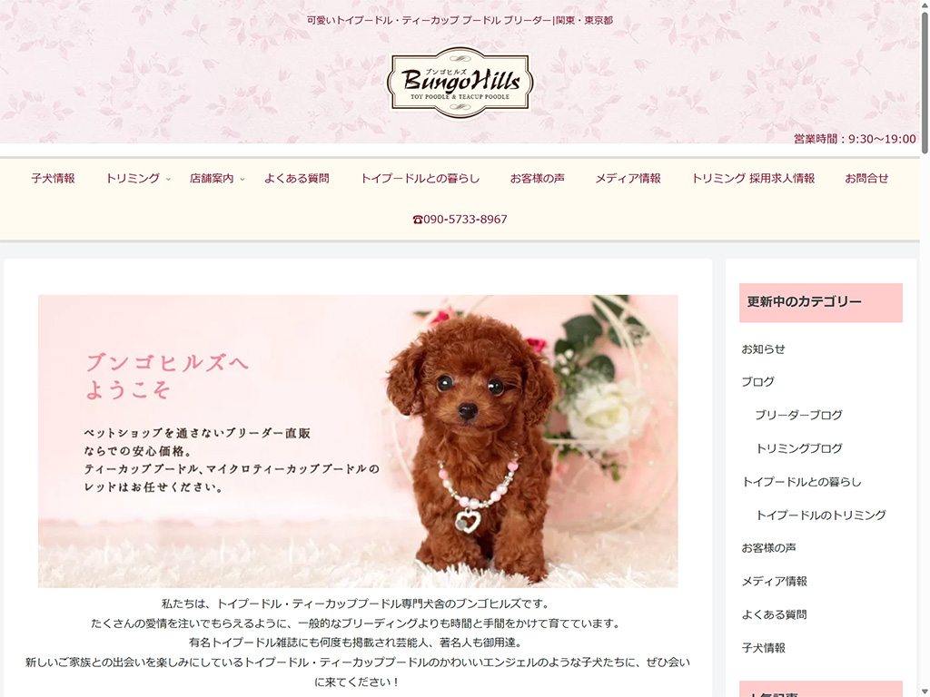 トイプードル専門ブリーダーとトリミングサロンのブンゴヒルズ