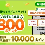 「楽天ペイ」アプリが最大10,300ポイント還元